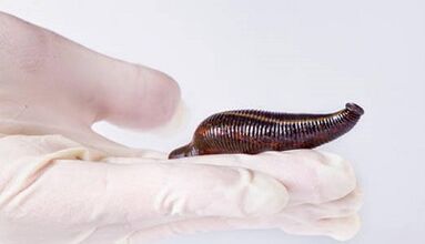 Leech Cream liikme suurendamiseks